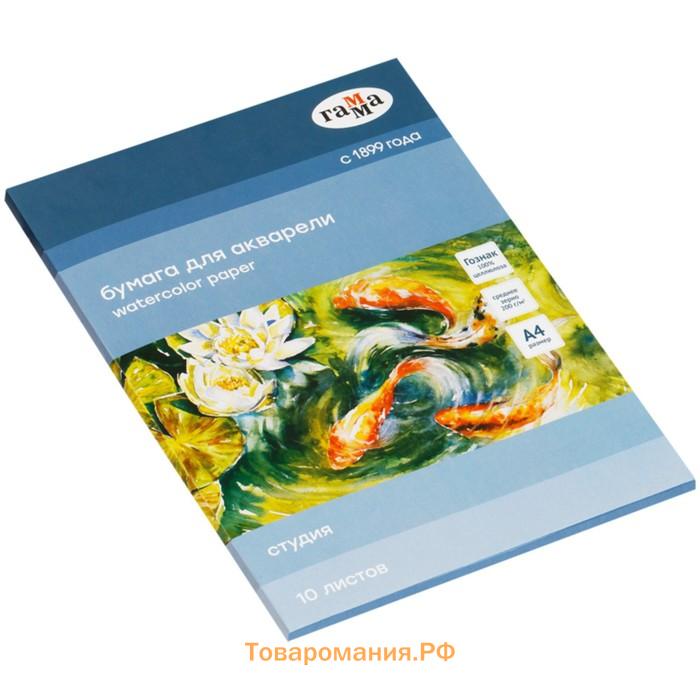 Бумага для акварели в папке А4, 10 листов, Гамма "Студия", 200 г/м2, среднее зерно