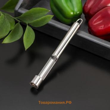 Нож для сердцевины «Металлик», 21 см, цвет серебряный
